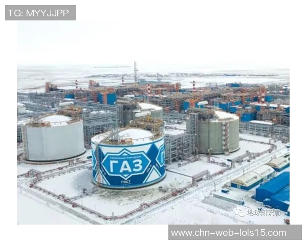 亚马尔地区的能源开发与国际合作前景分析与展望